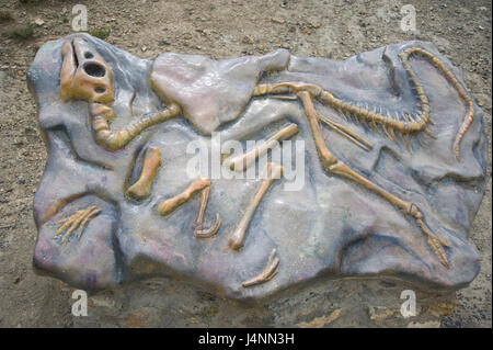 Réplique d'Hypsilophodon squelette de dinosaure. La Era del Peladillo site dans IGEA village, La Rioja, Espagne. Banque D'Images