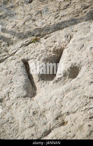 Empreintes de dinosaures théropodes. Valdecevillo site près de ENCISO village, La Rioja, Espagne. Banque D'Images