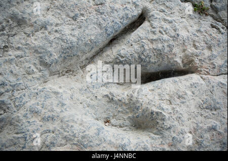 Empreintes de dinosaures théropodes. Valdecevillo site près de ENCISO village, La Rioja, Espagne. Banque D'Images