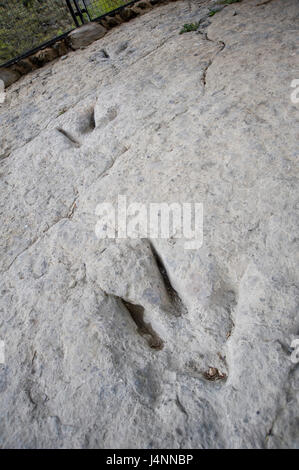 Empreintes de dinosaures théropodes. Valdecevillo site près de ENCISO village, La Rioja, Espagne. Banque D'Images
