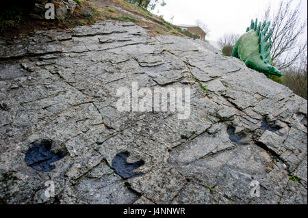 Empreintes de dinosaure ornithopode à Santa Cruz de Yanguas, Soria, Espagne. Banque D'Images