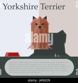 Yorkshire Terrier carte postale colorée Illustration de Vecteur