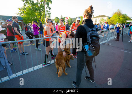 2017 Eugene Marathon Race Banque D'Images