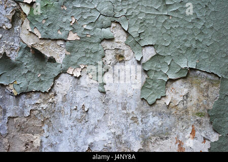 Morceaux de vieux verdâtre fissuré plâtre sur le mur de gypse décolorées blanchi, au milieu d'un peu de vide pour le texte, un design original de texture. Banque D'Images