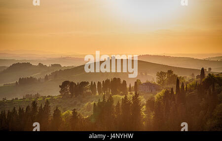 Moments magiques dans la Toscane Banque D'Images