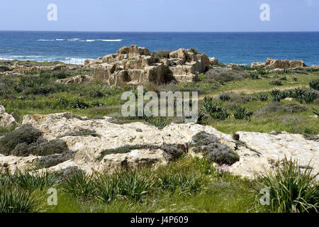 Chypre, Paphos, excavation, tombes du roi, 3. Jh.c. Chr.-3. Jh.n. Chr., l'île méditerranéenne, island, ruine site, cimetière, ruines, chambres funéraires, hellénistique, histoire, vieux, historiquement, point d'intérêt, Voyage, tourisme, mer, littoral, patrimoine culturel mondial de l'UNESCO, Banque D'Images