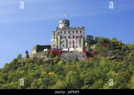 Allemagne, Rhénanie-Palatinat, Laitances, château Pyrmont, Elzbachtal, Eifel, la Rhénanie, le Palatinat, la montagne, les ruines du château, medievally, romane, colline, forêt, automne, tuning Banque D'Images