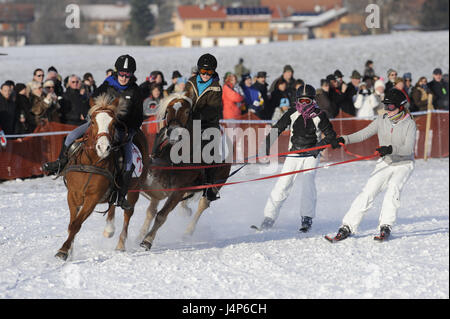 L'Allemagne, la Bavière, la race de cheval, Leitzachtal, skijoring, aucun modèle de presse, Banque D'Images