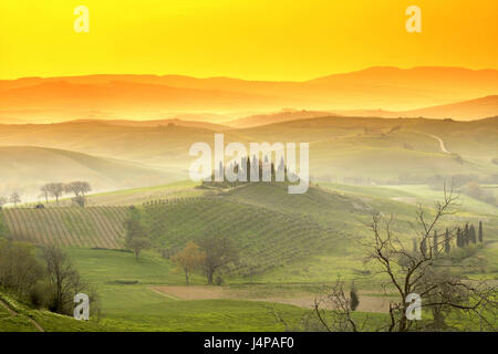 Matin d'optimisation, la Villa Belvedere, San Quirico d'Orcia, Toscane, Italie, Europe, Banque D'Images