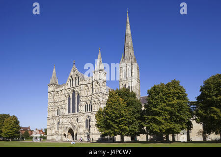 La Grande-Bretagne, l'Angleterre, la cathédrale de Salisbury, Wiltshire, Banque D'Images