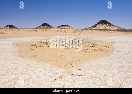 Avec l'oasis de Bahariya, désert, désert de Libye, Égypte Banque D'Images