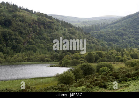 L'Irlande, Leinster, comté de Wicklow, Glendalough, saumure, Banque D'Images