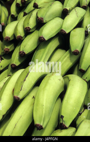 Costa Rica, bananes, Bribri, récolte, Banque D'Images