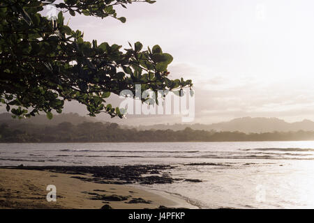 Costa Rica, Puerto Viejo de Talamanca, Plage, Coucher du soleil, Banque D'Images