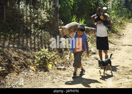 El Salvador, Parque Nacional el imposible, enfants, bois de chauffage, transport, Banque D'Images