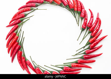 Red Hot Chili Peppers, épices populaires concept - motif décoratif de cercle à partir de hot chili peppers sur fond blanc, belle figure de poivre chaud allongé, vu de dessus, télévision jeter, de l'espace libre pour le texte. Banque D'Images