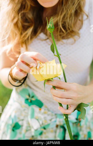 Les gens et arrangement floral concept - close-up man hands holding fresh rose jaune, les doigts touchent légèrement les pétales d'un bourgeon, femme aux longs cheveux d'une chemise blanche et jupe colorée. Banque D'Images