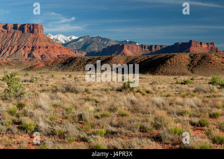 La vue vers le haut le professeur Vallée depuis de très près de l'embouchure du ruisseau de l'Oignon environ 20 milles à l'est de Moab, Utah Banque D'Images