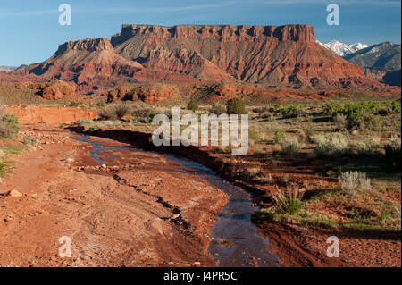 Onion Creek et Fisher Mesa, dans la vallée de professeur à environ 20 milles à l'est de Moab, Utah. Montagnes La Sal sont en arrière-plan sur la droite. Banque D'Images