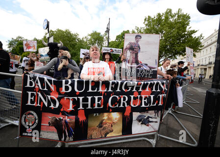 Manifestation pour les droits des animaux contre la tauromachie et toutes les formes de cruauté envers les animaux. La manifestation s'est poursuivie jusqu'à l'ambassade d'Espagne Banque D'Images