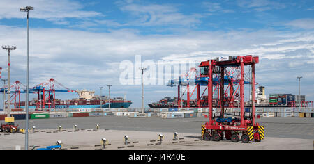 Wilhelmshaven, Allemagne. 13 mai, 2017. Vue sur le déchargement du cargo 'OOCL Tianjin' au JadeWeserPort (JWP) à Wilhelmshaven, Allemagne, 13 mai 2017. Le navire fait partie de la nouvelle Alliance de l'océan. L'opérateur Eurogate et l'état de Basse-Saxe d'espoir pour plus de la manutention des marchandises avec le nouveau service de l'Asie. Photo : Ingo Wagner/dpa/Alamy Live News Banque D'Images