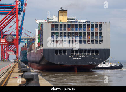 Wilhelmshaven, Allemagne. 13 mai, 2017. Vue de la manœuvre d'amarrage du cargo 'OOCL Tianjin' au JadeWeserPort (JWP) à Wilhelmshaven, Allemagne, 13 mai 2017. Le navire fait partie de la nouvelle Alliance de l'océan. L'opérateur Eurogate et l'état de Basse-Saxe d'espoir pour plus de la manutention des marchandises avec le nouveau service de l'Asie. Photo : Ingo Wagner/dpa/Alamy Live News Banque D'Images