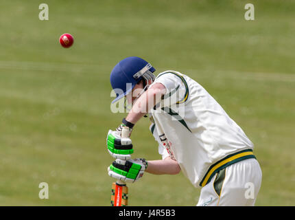 East Dean les terrains de jeu, East Sussex, Royaume-Uni. 13 mai, 2017. East Dean & Iken Cricket Club 1X1 vs Forest Row Cricket Club 1ère XI. Credit : Alan Fraser/Alamy Live News Banque D'Images