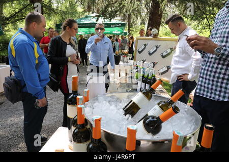 Sarajevo, Bosnie-et-Herzégovine. 13 mai, 2017. Les visiteurs le goût du vin à Sarajevo Wine Week-end dans un jardin du Musée national de Sarajevo, Bosnie-Herzégovine, le 13 mai 2017. Credit : Haris Memija/Xinhua/Alamy Live News Banque D'Images