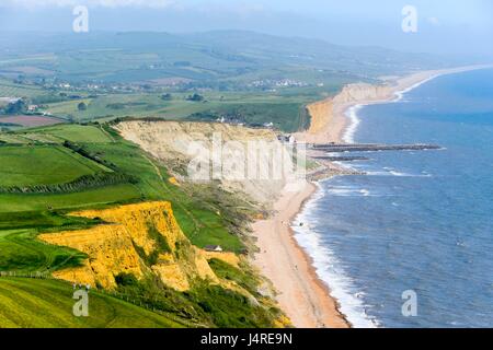 Bridport, Dorset, UK. 14 mai 2017. Météo britannique. Voir à l'Est, vers la baie de l'ouest de la falaise haut de Thorncombe Beacon près de Bridport Eype ci-dessus dans le Dorset sur un warmy après-midi ensoleillé. Crédit photo : Graham Hunt/Alamy Live News Banque D'Images