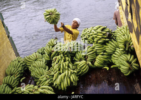 Costa Rica, homme, Bribri, bateau, bananes, camion, frais, Banque D'Images