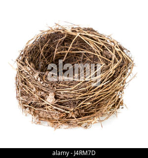 Nid isolé sur blanc. Nid vide d'un merle noir Turdus merula ou isolé sur fond blanc Banque D'Images