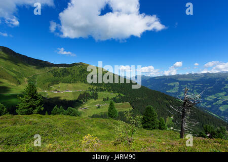 La Haute Route alpine du Zillertal Alpes, Autriche, Tirol, Zillertal Banque D'Images