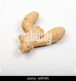 Racine de gingembre frais et biologiques sur fond blanc Banque D'Images