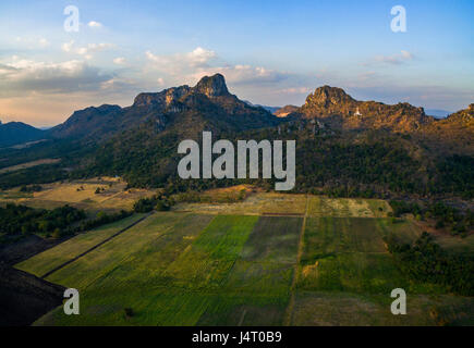 Champ de tournesols et zone agricole à la lime Stone Mountain en arrière-plan de la Thaïlande centrale lopburi Banque D'Images