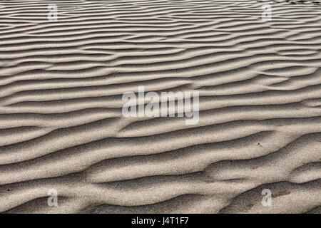 Formations de sable à la recherche comme dunes, plage de l'océan Atlantique, Essaouira, Maroc Banque D'Images