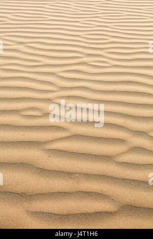 Formations de sable à la recherche comme dunes, plage de l'océan Atlantique, Essaouira, Maroc Banque D'Images