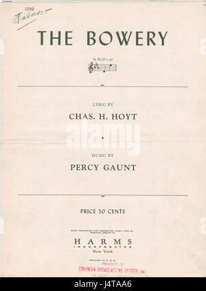 Bowery est une rue de Lower Manhattan, New York City, connue pour son importance historique et son rôle dans la vie culturelle et sociale de la ville. Il est passé d'un quartier industriel et immigré à un centre culturel dynamique. Banque D'Images