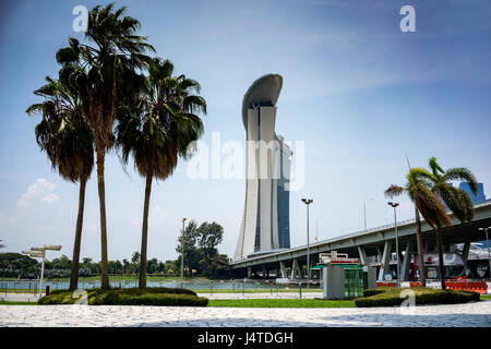 Palmiers en face de l'hôtel Marina Bay Sands à Singapour Banque D'Images