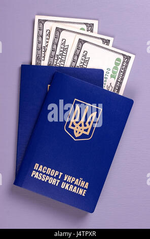 Passeport Ukrainien International avec des dollars américains isolé sur fond gris Banque D'Images