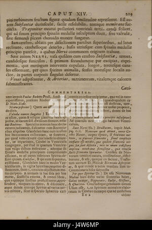 'Syntagma Anatomicum' de Vesling, un texte médical influent, fournit des descriptions anatomiques détaillées et un aperçu de l'anatomie humaine du XVIIe siècle. Banque D'Images