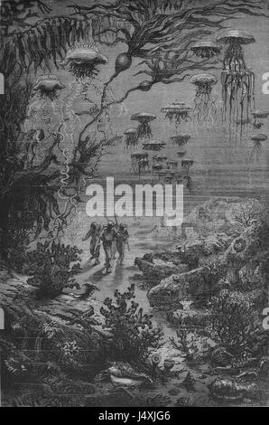 Ce titre fait probablement référence à une page spécifique (131) d'une œuvre originale intitulée 'Vingtmillelieue', peut-être une illustration ou un document d'un artiste nommé Vern, lié à l'œuvre de Jules Verne. Banque D'Images