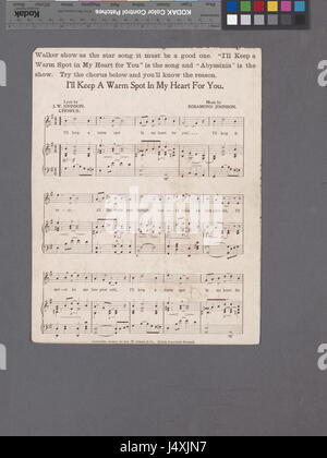 Ce titre fait référence à une image ou à un document comportant l'expression « le vieux drapeau n'a jamais touché le sol ». Il est lié à un récit historique, peut-être lié à des événements autour de 1932 et lié à la collection de la Bibliothèque publique de New York. Banque D'Images