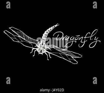 Hand drawn vector illustration d'encre de dragonfly sketch style iso Illustration de Vecteur