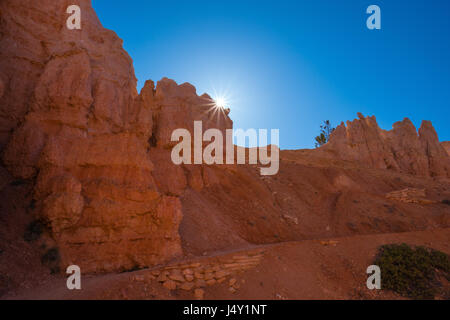 Orange et rose cheminées éclairée par la lumière du matin dans le parc national de Bryce Canyon, Utah Banque D'Images