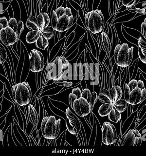 Tulip transparent, motif floral illustration Banque D'Images