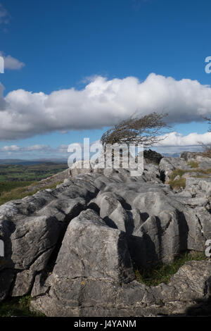 Paysage de Cumbrie, Hampsfell Banque D'Images