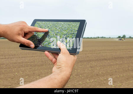 L'agriculture intelligente. À l'aide d'agriculteurs de planter des choux tablette. L'agriculture moderne concept. Banque D'Images