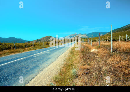 Route de montagne avec ciel bleu. Vignes sur les deux côtés de la route Banque D'Images