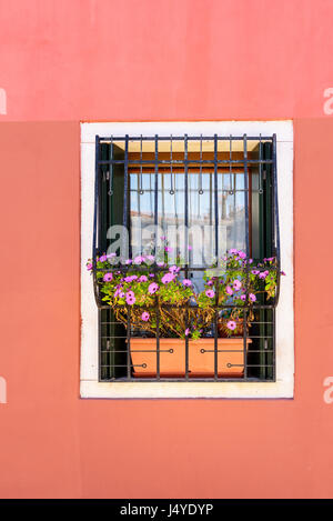 Fenêtre sur mur rose dans l'île de Burano, Venise, Italie Banque D'Images