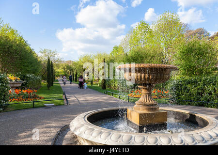 Fontaine, arbres et fleurs au printemps à l'Avenue Gardens at Regents Park, London, England, UK Banque D'Images